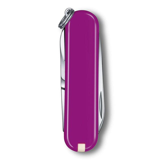 Victorinox Classic SD Tasty Grape Multi Tool Everyday Companion