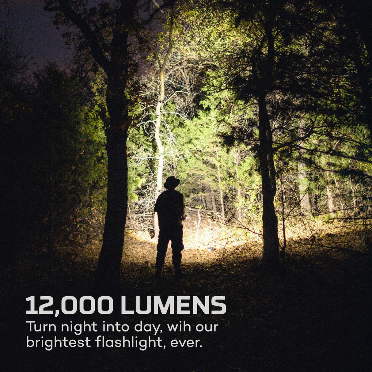Silhouette of a person holding a powerful flashlight illuminating a dark forest.