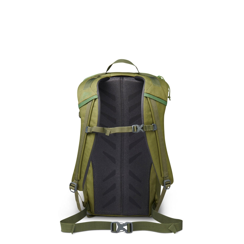 Asher 24l Backpack - Winter Moss/Dill