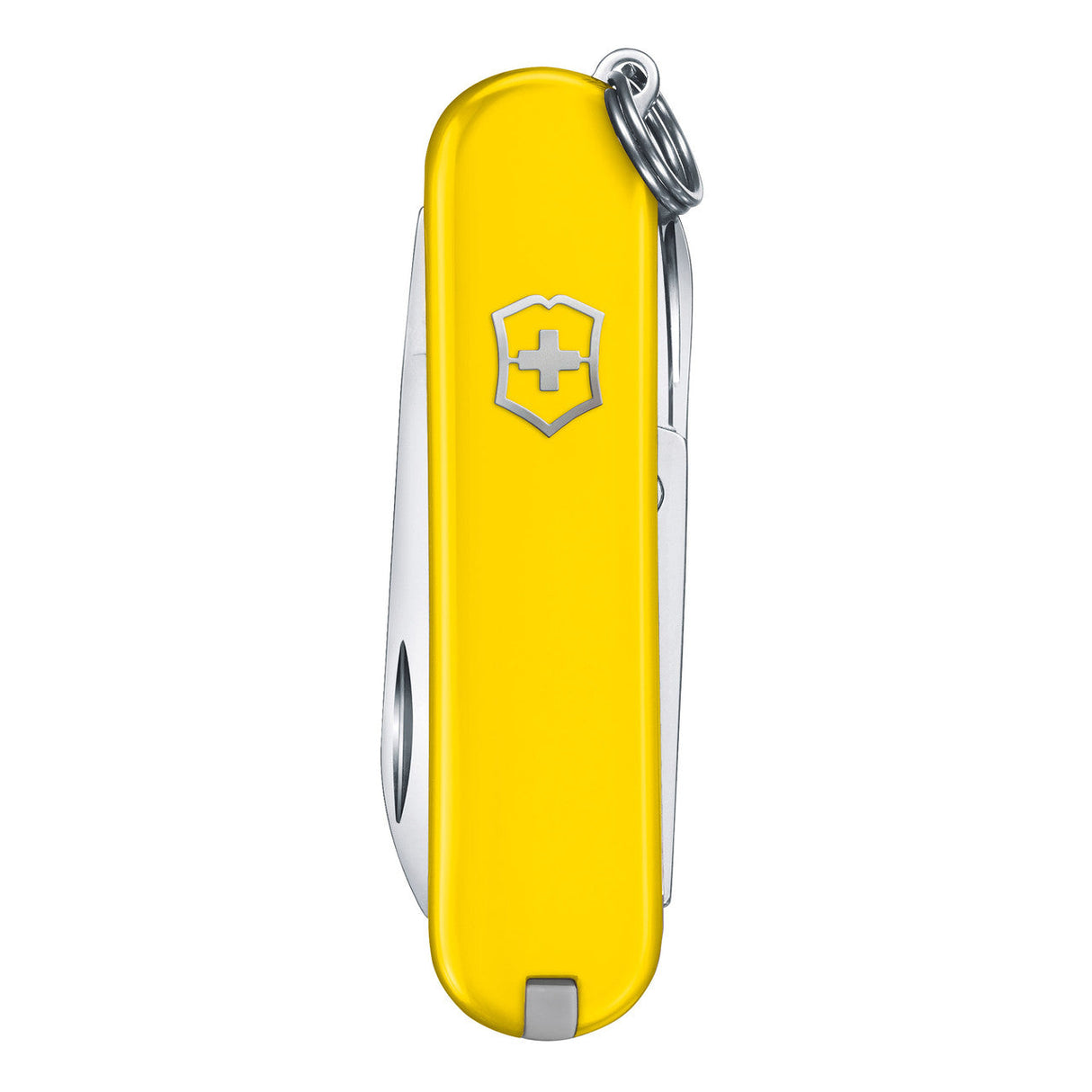 Victorinox Classic SD Swiss Knife in Mango Tango Cherry Blossom