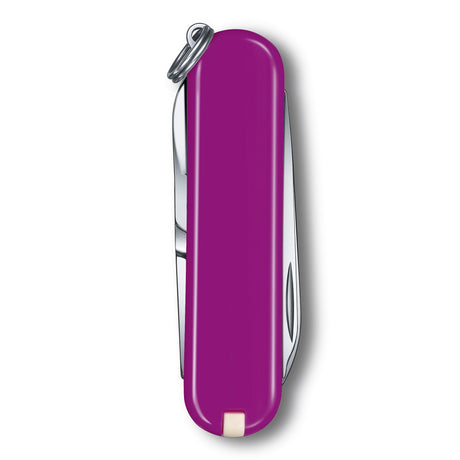 Victorinox Classic SD Tasty Grape Multi Tool Everyday Companion