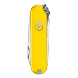 Victorinox Classic SD Swiss Knife in Mango Tango Cherry Blossom