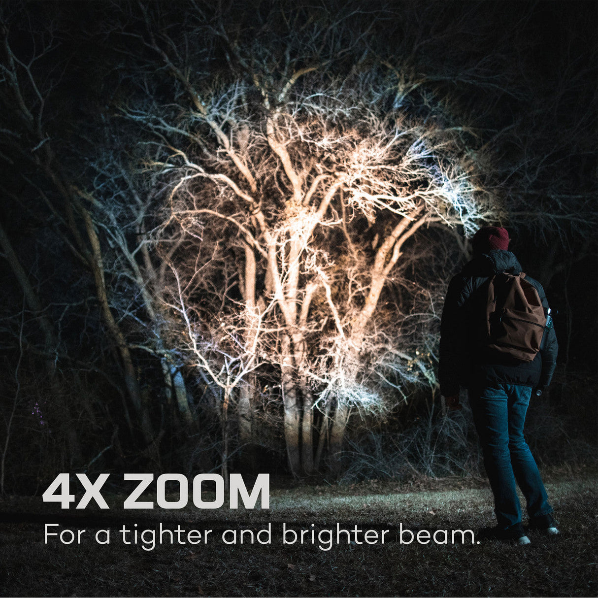 Illuminated bare tree with intricate branching patterns against a dark background.