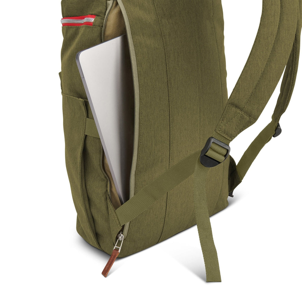 Delano Burnt Olive